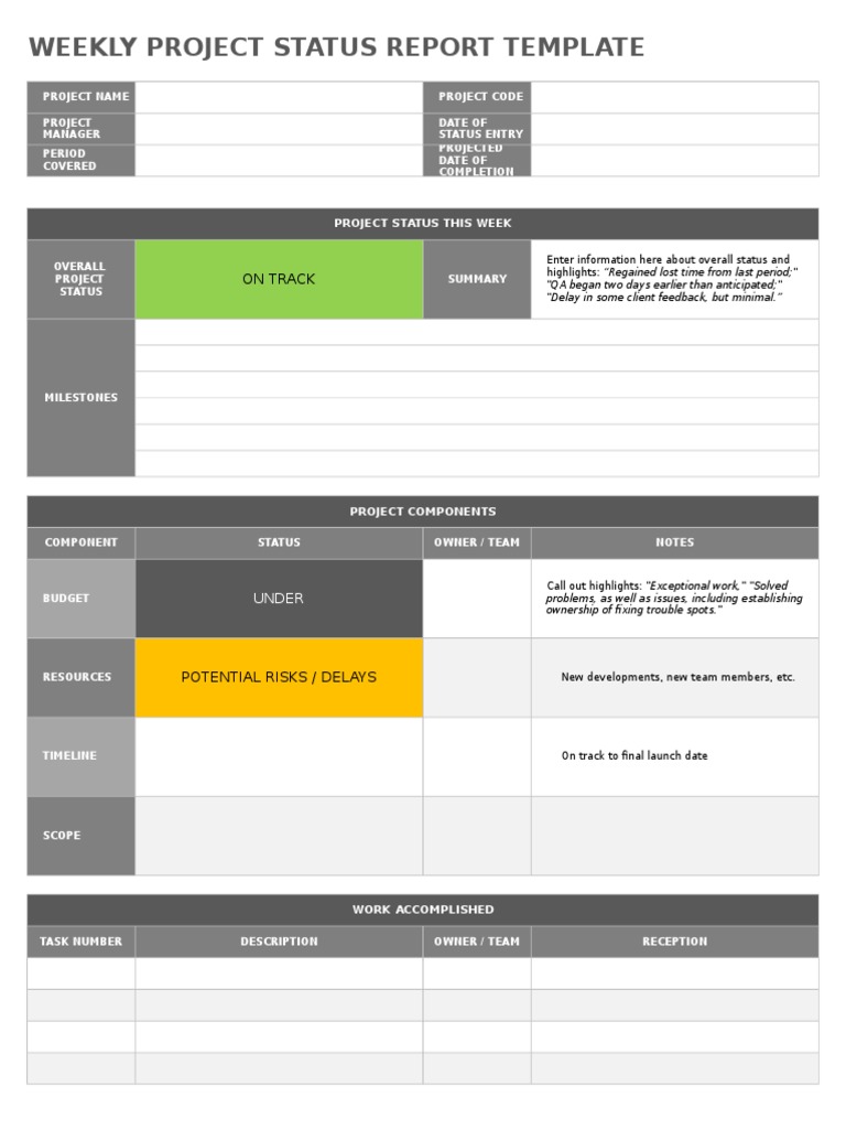 Weekly Project Status Report Template | PDF | Business | Computing
