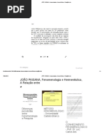 JOÃO PAISANA, Fenomenologia e Hermenêutica, A Relação Entre