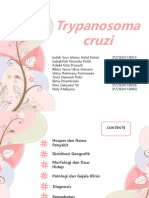 Trypanosoma Cruzi