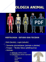 Histologia Animal