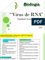 3d 2019 Unidad 3d Virus Rna