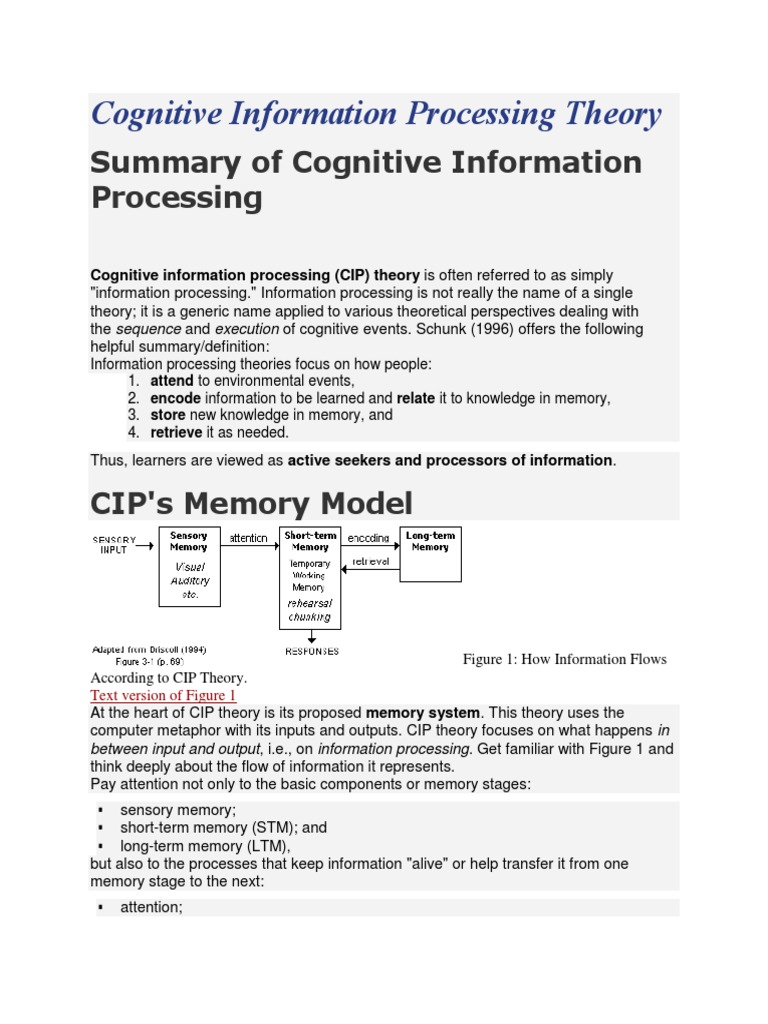 Cognitive Information Processing Theory | PDF | Information Processing