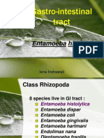 GI Tract Protozoan Entamoeba histolytica