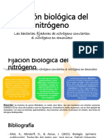 Fijación Biológica Del Nitrógeno