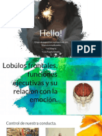 Lóbulos frontales, funciones ejecutivas y emoción