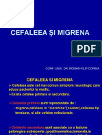 Cefaleea Si Migrena