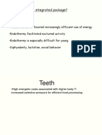 Lecture 3 Teeth