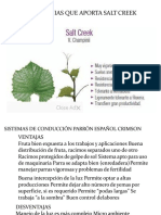 Crimsom Seedles - Pisco -Ica Corregido-2