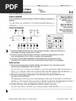 Investigate It! Using A Pedigree