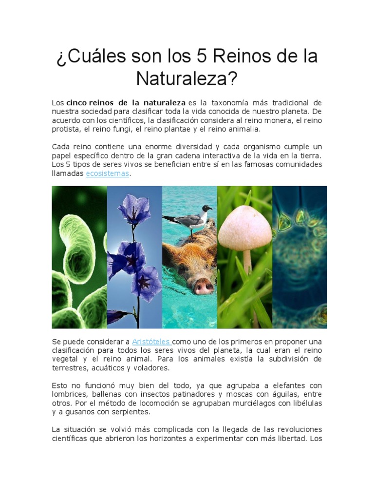 Cuáles Son Los 5 Reinos de La Naturaleza | PDF | Plantas | Hongo