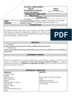 Formato Reporte Lab PDF