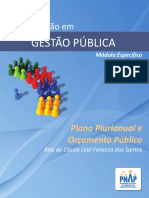 PNAP - 2014 GP - Plano Plurianual e Orcamento Publico.pdf