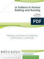 Motor Patterns in Human Walking and Running