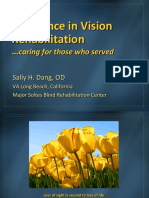 DANG - Excellence in Vision Rehabilitation PDF