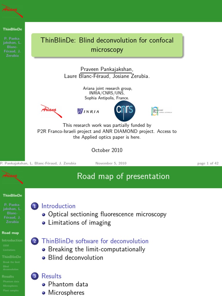Blind Deconvolution for Confocal Microscopy | PDF | Confocal Microscopy ...