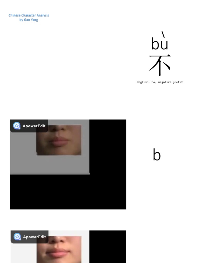 不 - Chinese Character Analysis | PDF