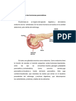 Morfologia Humana- Función de Las Hormonas Pancreáticas