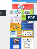 Evidencia 4 Infografia Agente de Aduana