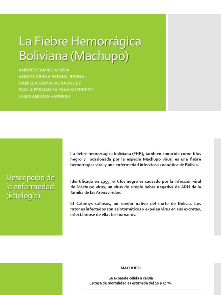 La Fiebre Hemorrágica Boliviana (Machupo) | PDF | Virus | Patologia clinica