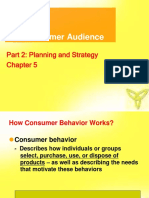 The Consumer Audience: Part 2: Planning and Strategy