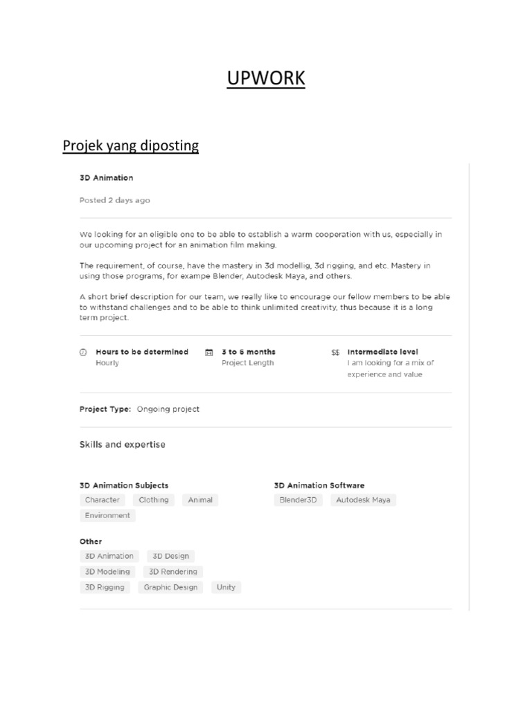 Upwork Project Portfolios Overview Pdf