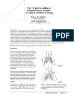 What Causes Asthma?