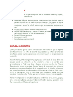 Tarjetas Valores PDF