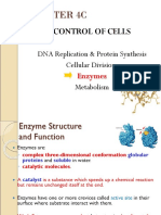 Chapter 4C: Control of Cells