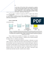 Teste ELISA Sanduíche para Detecção de HIV em Paciente