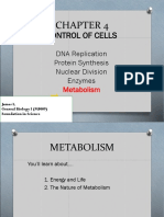 MF009 4D Metabolism James L4