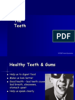 The Teeth: © PDST Home Economics