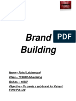 106910680-Brand-Building-Project.docx