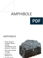 Amphib Ole
