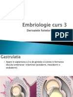 Embriologie 3