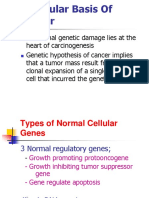 2.the Molecular Basis of Cancer Part-1