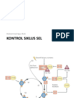 Kontrol Siklus Sel