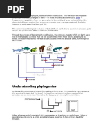 Understanding Phylogenies: The Definition