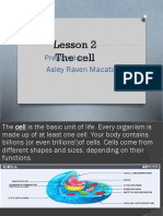 Lesson 2 The Cell: Prepared By: Asley Raven Macatiag