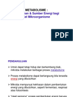 1-Metabolisme I Energi