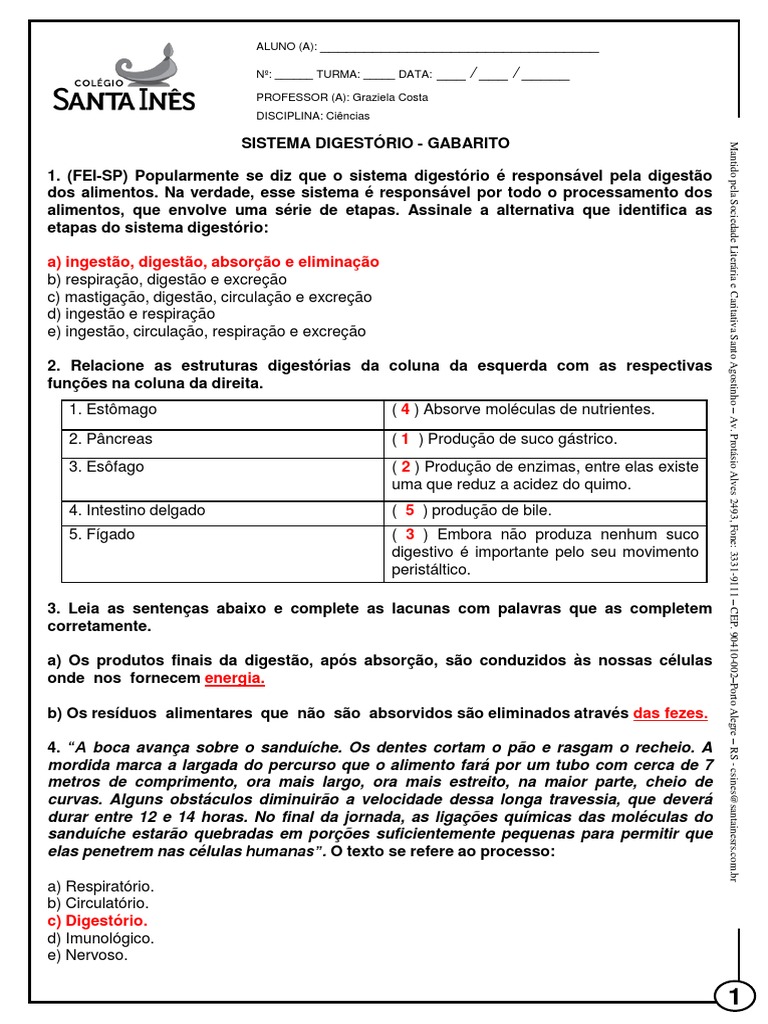 Exercícios sobre Sistema Digestório 8º Ano | PDF | Sistema digestivo ...