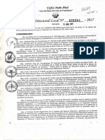 DIERCTIVA RP..pdf