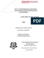 Aislamiento y Caracterizacion Endofitas en Papa PDF