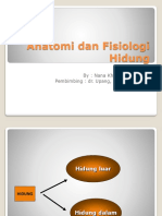Anatomi Dan Fisiologi Hidung: By: Nana Khoirun Nisa Pembimbing: Dr. Upang, SP - THT.KL
