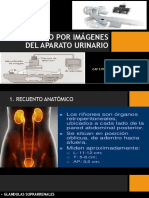 Diagnostico Por Imágenes Del Aparato Urinario