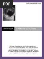 Parasitologia 17 de Diciembre