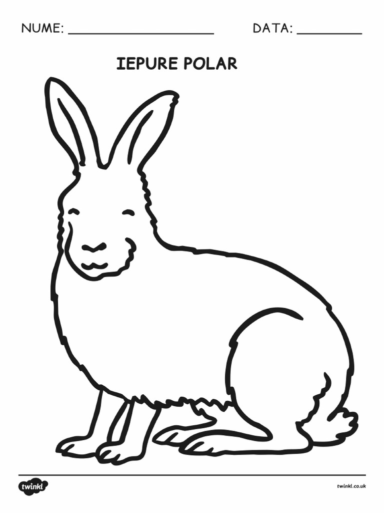 Animalele La Poli Fise Pentru Colorat 1