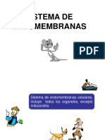 Endomemembranas 2011