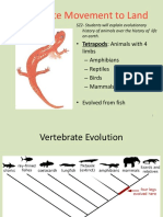 5 - Vertebrate Movement To Land - Weebly