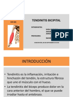 Ejercicios de Codman Fisiologia