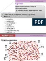 Tejido Sanguineo